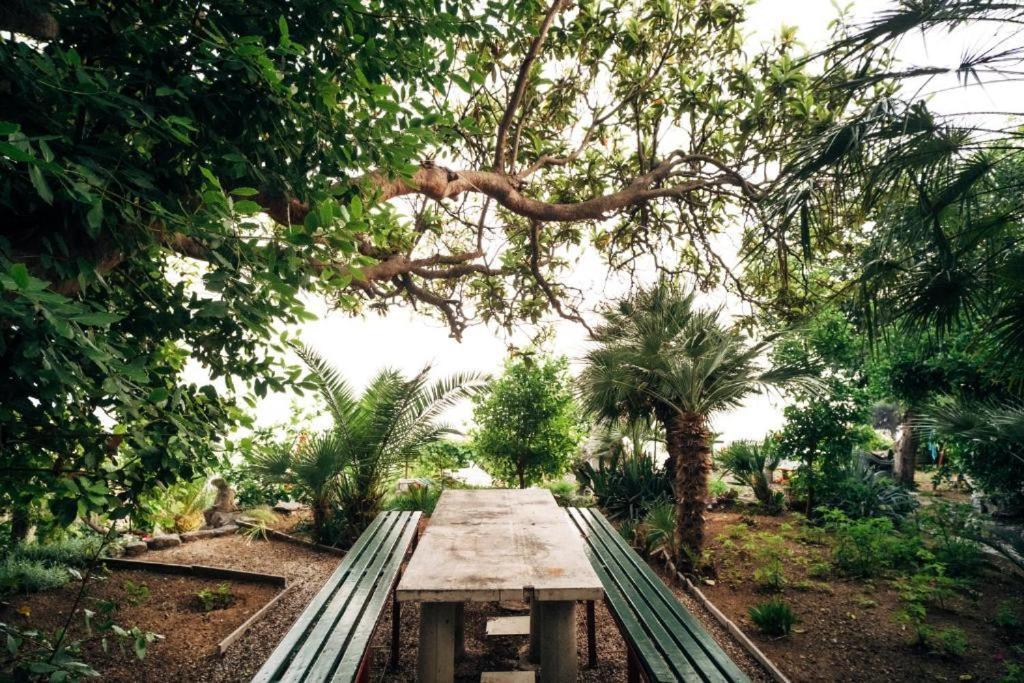 Villa Soti مْليني المظهر الخارجي الصورة